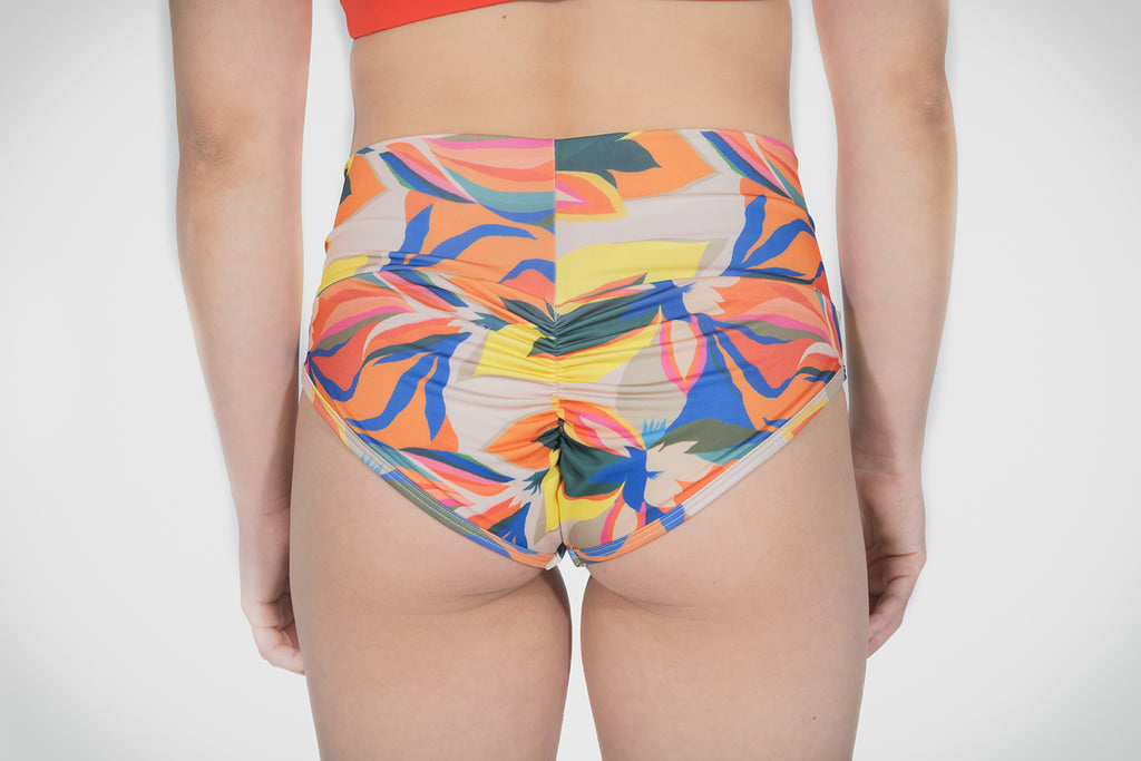BOTTOM BÁSICO - EDICIÓN STRELITZIA