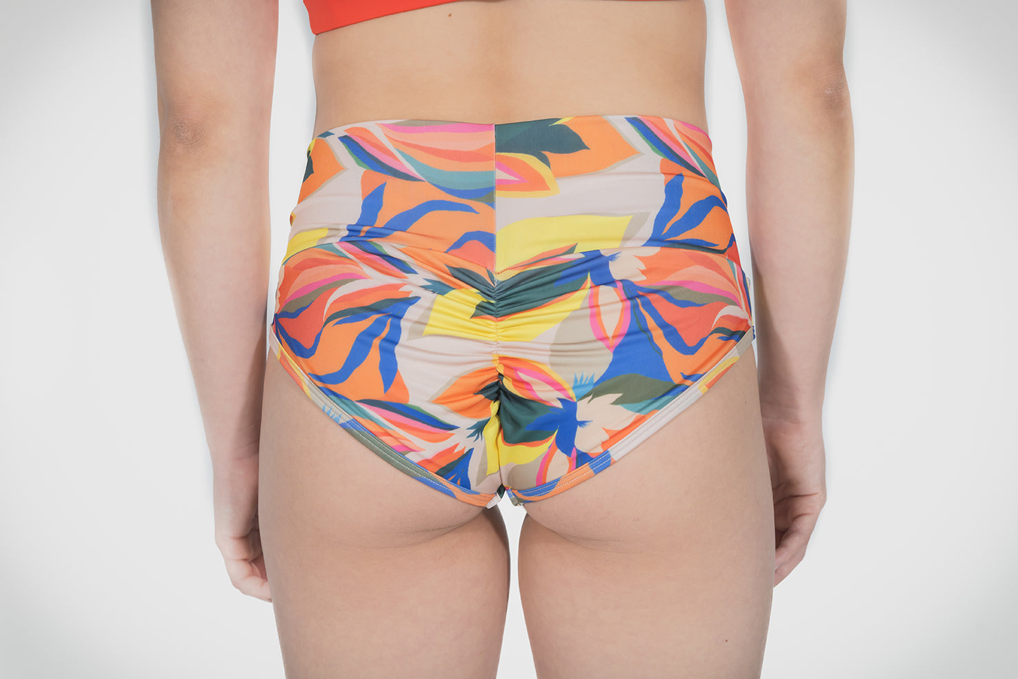 BOTTOM BÁSICO - EDICIÓN STRELITZIA